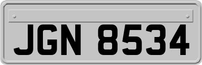 JGN8534