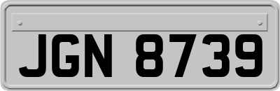 JGN8739