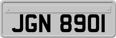 JGN8901