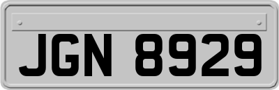 JGN8929