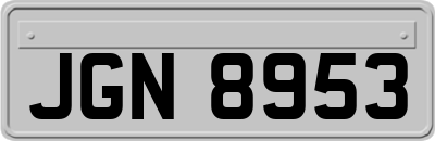 JGN8953