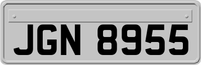 JGN8955