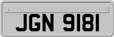 JGN9181