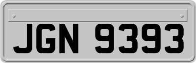 JGN9393