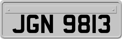 JGN9813