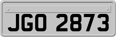 JGO2873