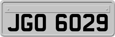 JGO6029