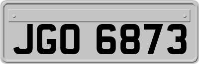 JGO6873