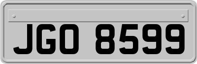 JGO8599