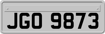 JGO9873
