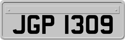 JGP1309