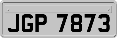 JGP7873