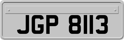 JGP8113