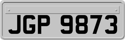 JGP9873