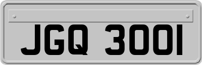JGQ3001