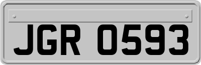 JGR0593