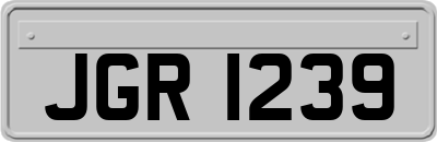 JGR1239
