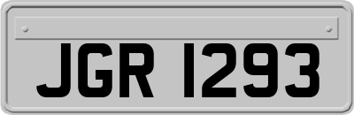 JGR1293