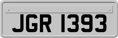 JGR1393