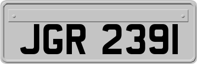 JGR2391