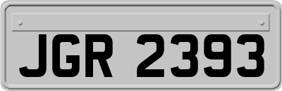 JGR2393