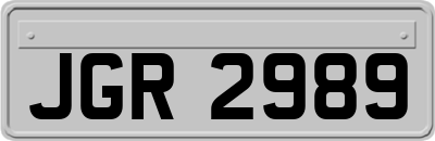 JGR2989