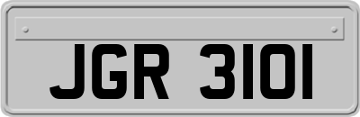 JGR3101