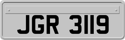 JGR3119