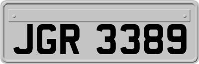 JGR3389