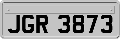 JGR3873