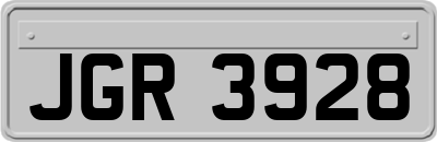 JGR3928
