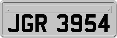 JGR3954