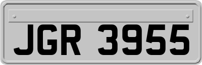 JGR3955