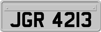 JGR4213