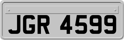 JGR4599
