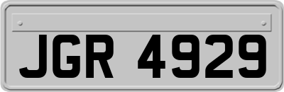 JGR4929