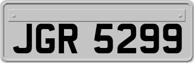 JGR5299