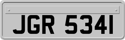 JGR5341