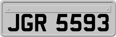 JGR5593