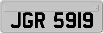 JGR5919