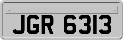 JGR6313
