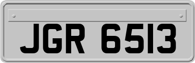 JGR6513