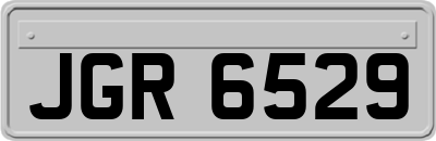 JGR6529