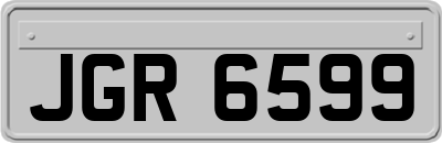 JGR6599