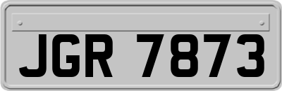 JGR7873