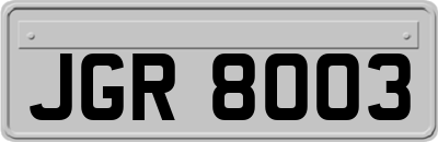 JGR8003