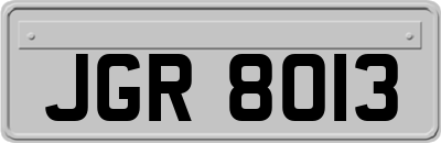 JGR8013
