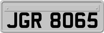 JGR8065