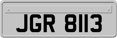 JGR8113