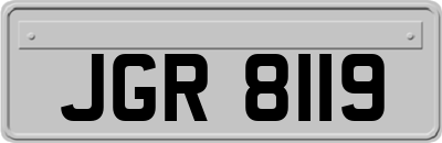 JGR8119